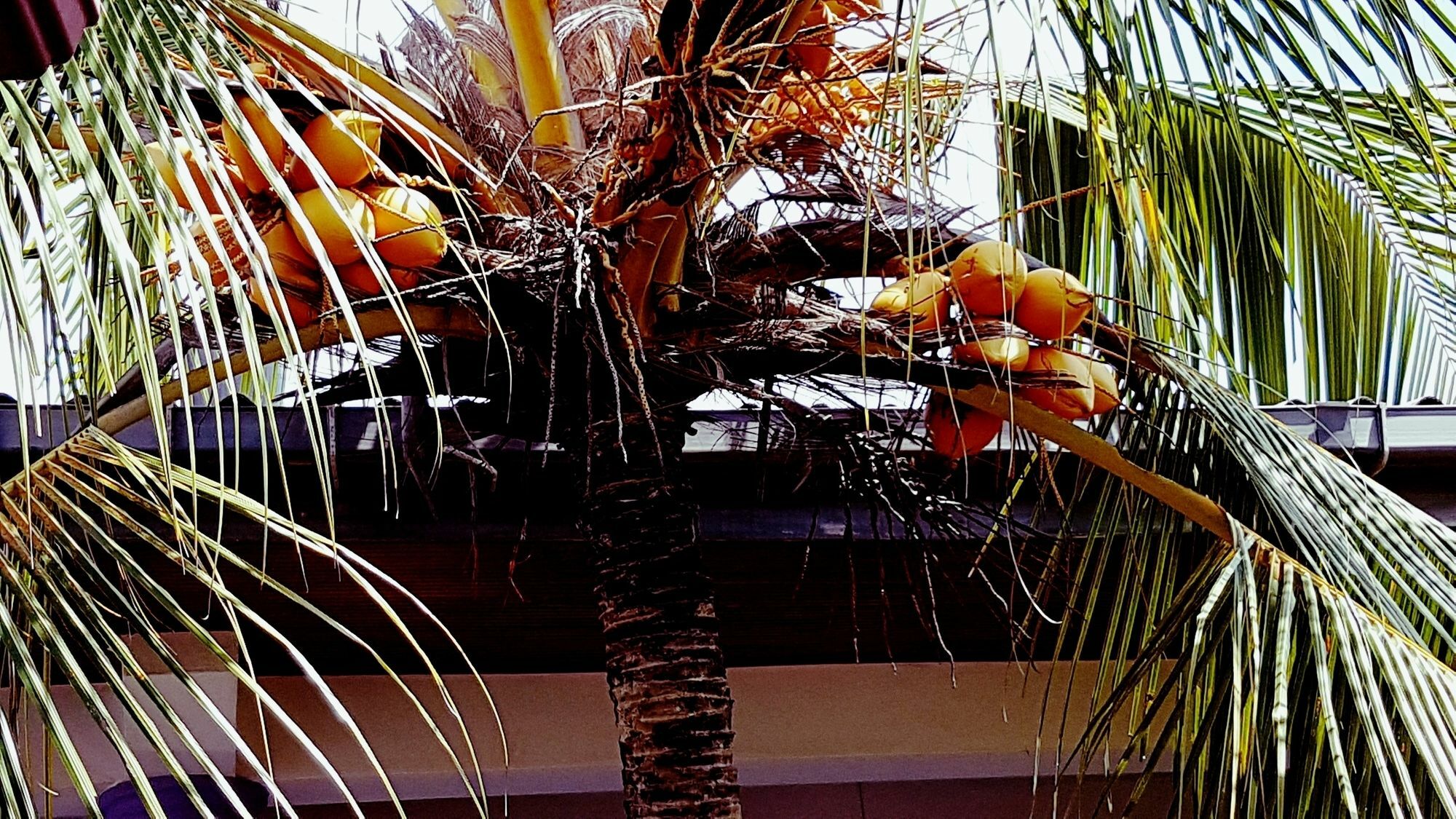 Happy Night Holiday Inn Unawatuna Exterior foto